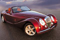Mitsuoka-1.jpg