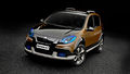 Renault-sandero-stepway-concept2.jpg