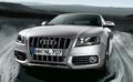 Audi s5.jpg